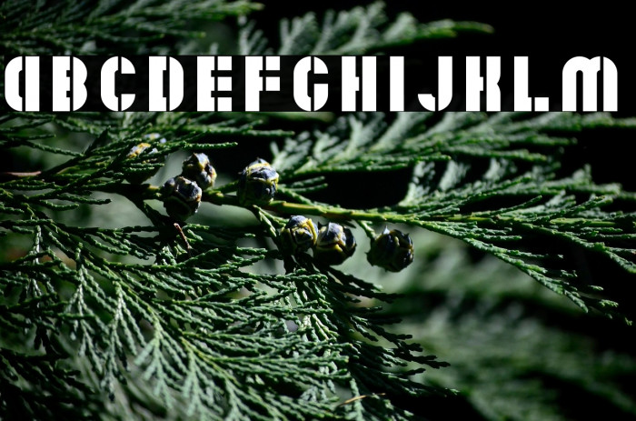 ZF2334 Stencil Example 2