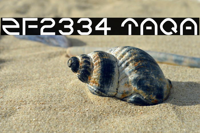 ZF2334 Taqa Example 3