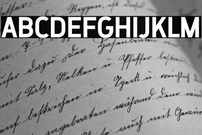 ZF2334 That's All Right Bold Caratteri examples