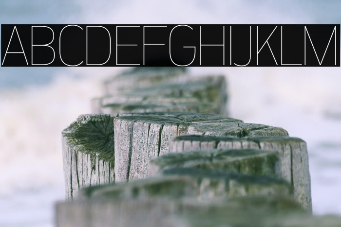 ZF2334 That's All Right Hairline Example 3