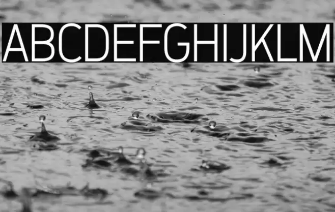 ZF2334 That's All Right Light خط examples