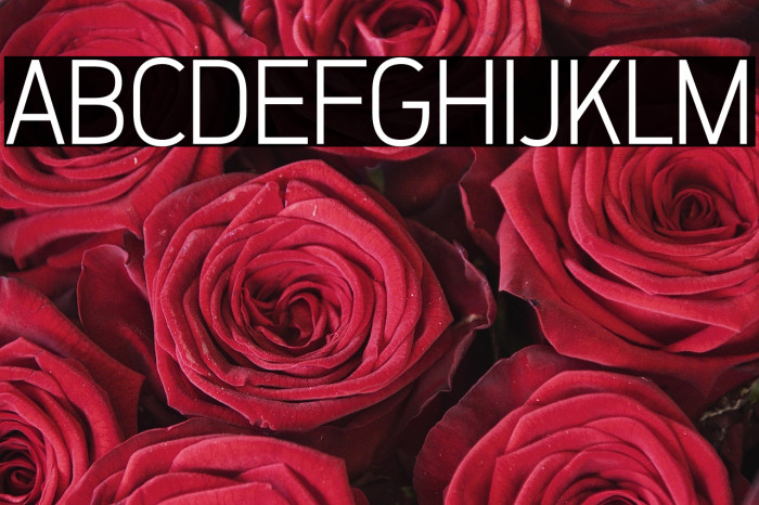 ZF2334 That's All Right Light Example 2