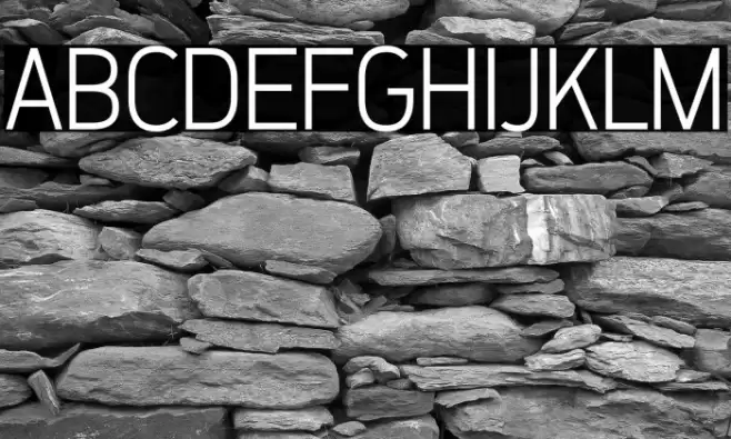 ZF2334 That's All Right Light خط examples