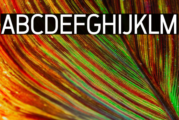 ZF2334 That's All Right Regular Example 1