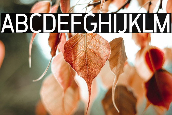 ZF2334 That's All Right Regular Example 2