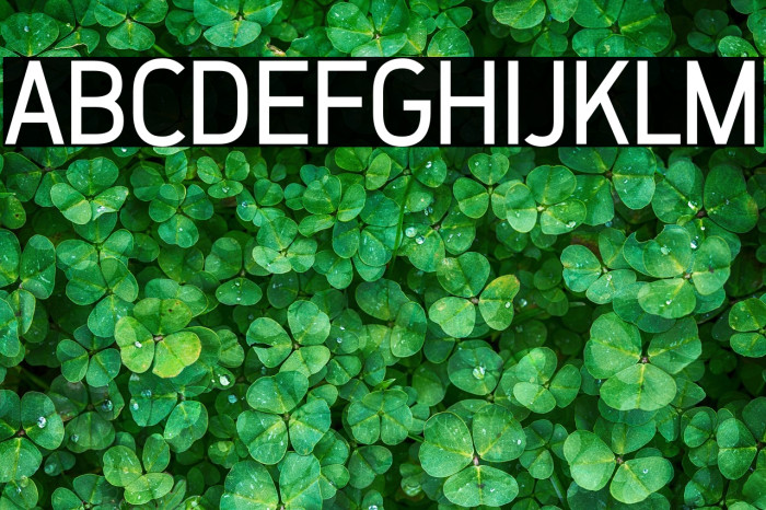 ZF2334 That's All Right Regular Example 3