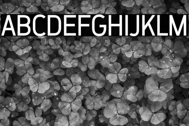 ZF2334 That's All Right Regular خط examples