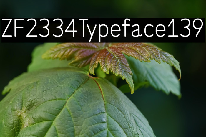 ZF2334 Typeface 139 Example 2