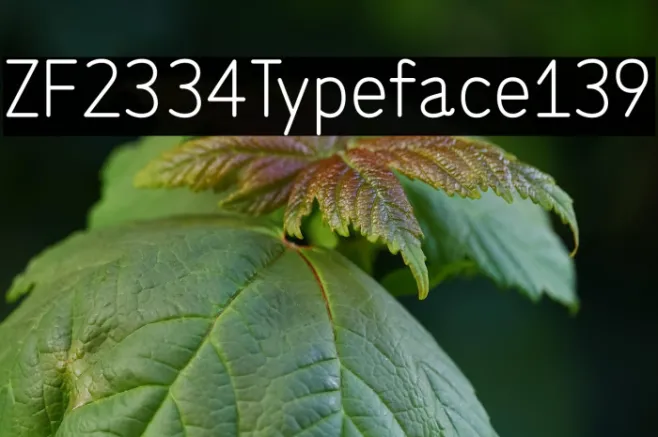 ZF2334 Typeface 139 Example 2