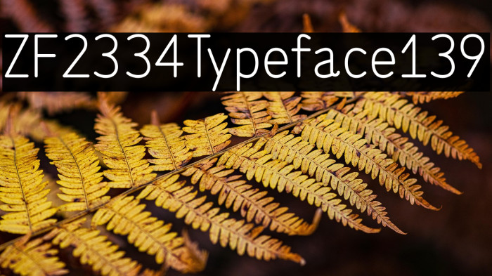 ZF2334 Typeface 139 Example 3