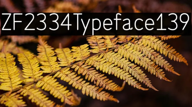 ZF2334 Typeface 139 Example 3