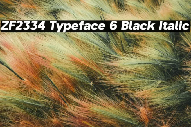 ZF2334 Typeface 6 Black Italic Example 1