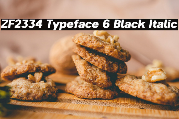 ZF2334 Typeface 6 Black Italic Example 2