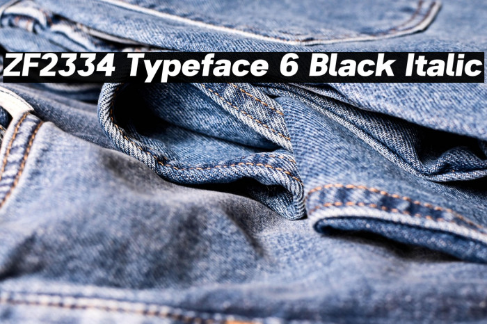 ZF2334 Typeface 6 Black Italic Example 3