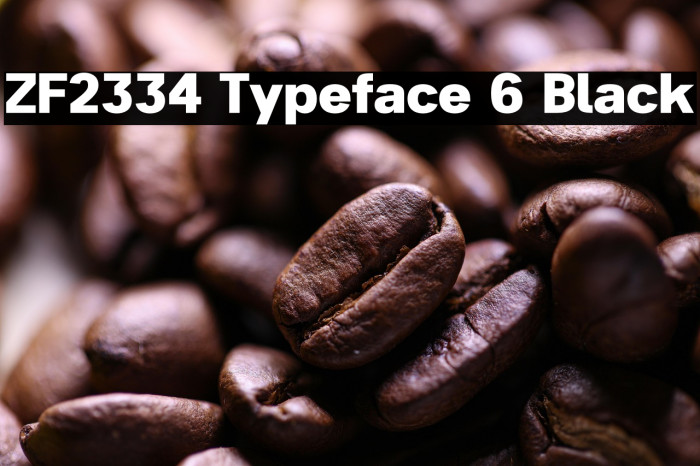 ZF2334 Typeface 6 Black Example 1