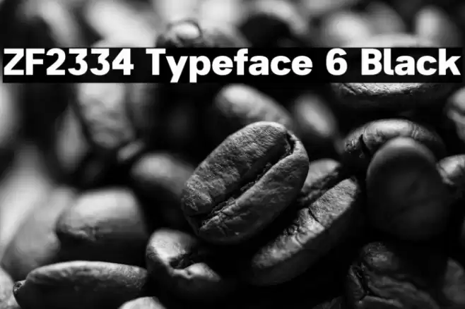 ZF2334 Typeface 6 Black フォント examples