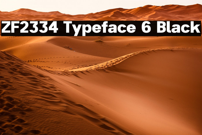 ZF2334 Typeface 6 Black Example 2
