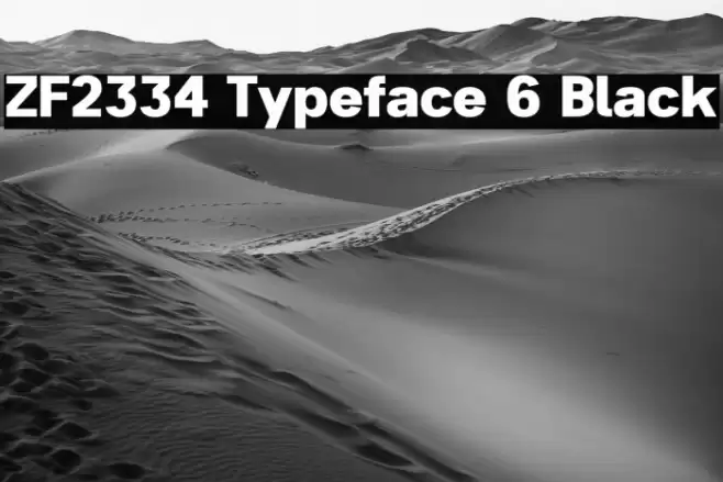ZF2334 Typeface 6 Black フォント examples