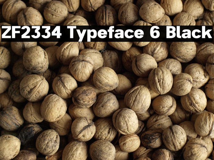 ZF2334 Typeface 6 Black Example 3