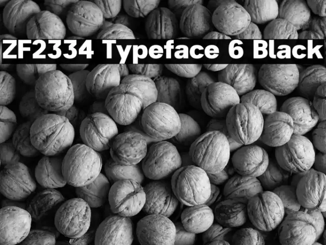 ZF2334 Typeface 6 Black フォント examples