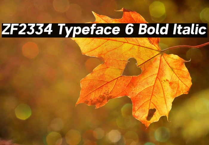 ZF2334 Typeface 6 Bold Italic Example 3