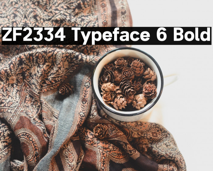 ZF2334 Typeface 6 Bold Example 1