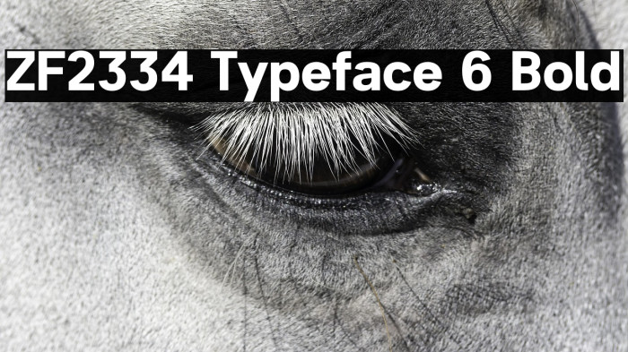 ZF2334 Typeface 6 Bold Example 2