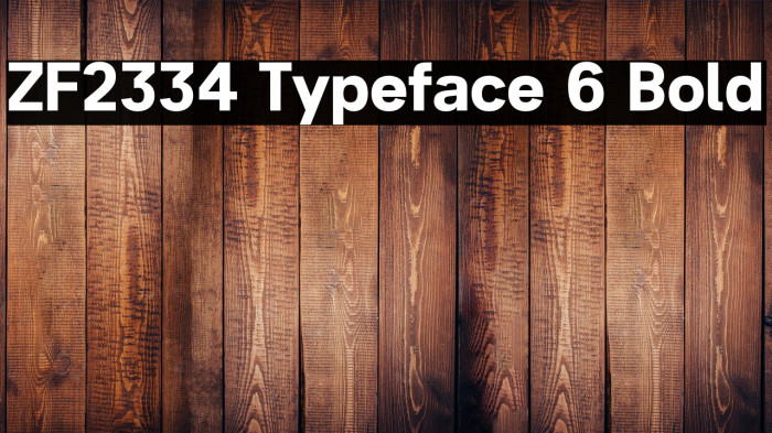 ZF2334 Typeface 6 Bold Example 3
