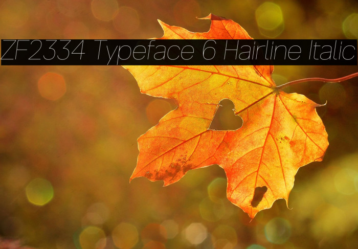 ZF2334 Typeface 6 Hairline Italic Example 2