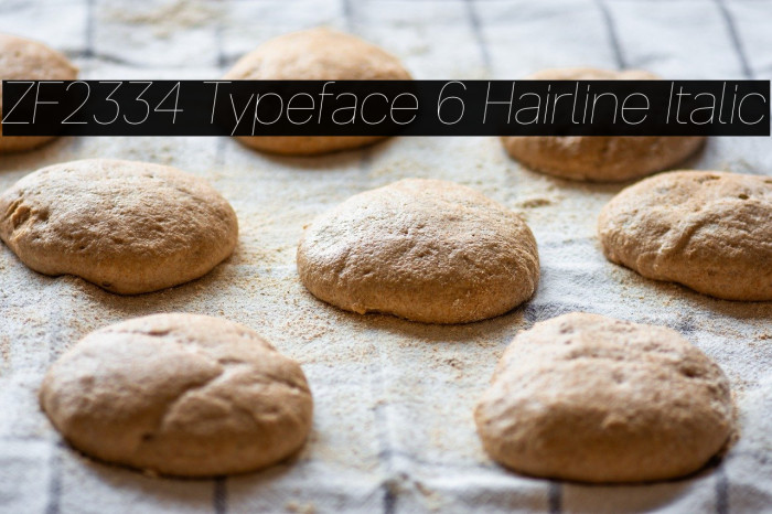 ZF2334 Typeface 6 Hairline Italic Example 3