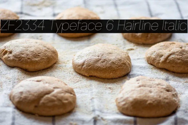 ZF2334 Typeface 6 Hairline Italic Example 3