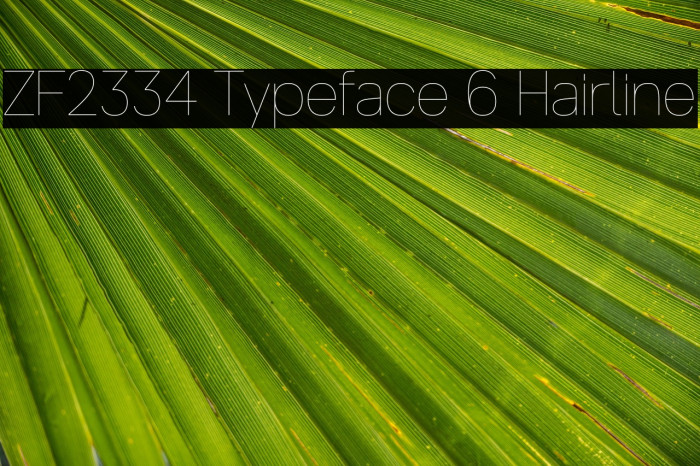 ZF2334 Typeface 6 Hairline Example 3
