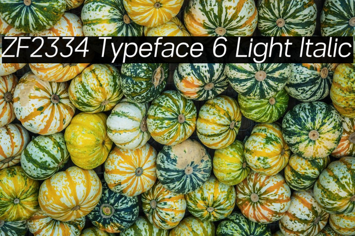 ZF2334 Typeface 6 Light Italic Example 3