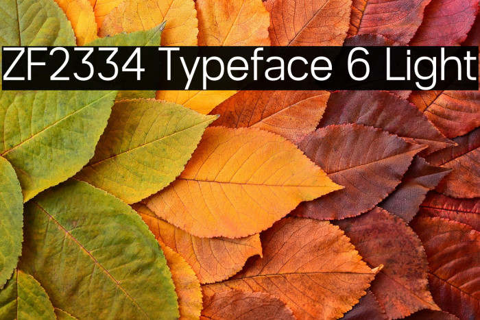 ZF2334 Typeface 6 Light Example 2