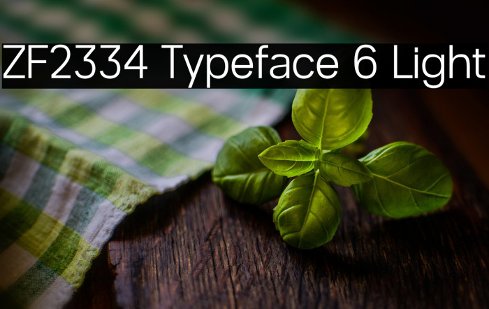 ZF2334 Typeface 6 Light Example 3