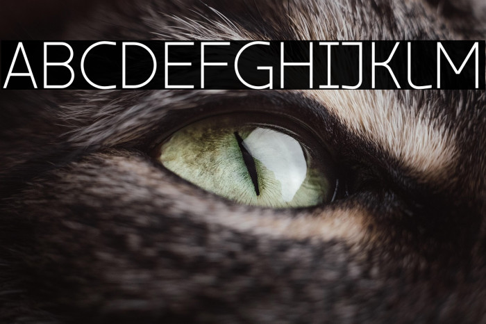 ZF2334 Typeface 63 Regular Example 1