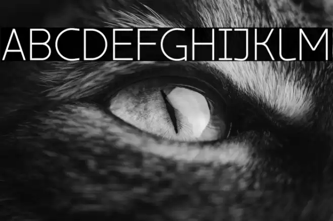 ZF2334 Typeface 63 Regular 字体 examples