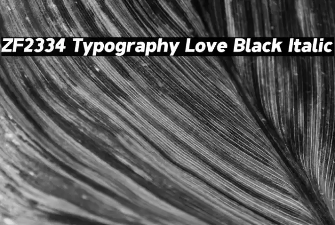 ZF2334 Typography Love Black Italic Caratteri examples