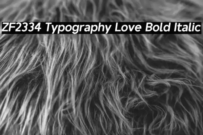ZF2334 Typography Love Bold Italic Font examples
