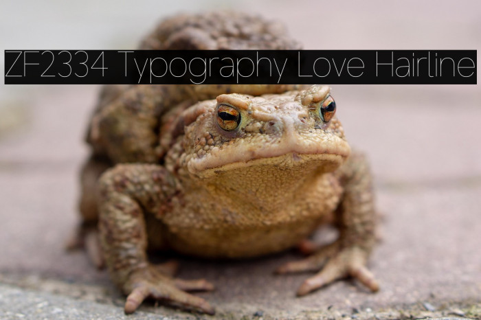 ZF2334 Typography Love Hairline Example 3