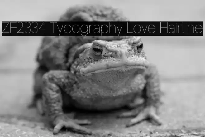 ZF2334 Typography Love Hairline Schriftart examples