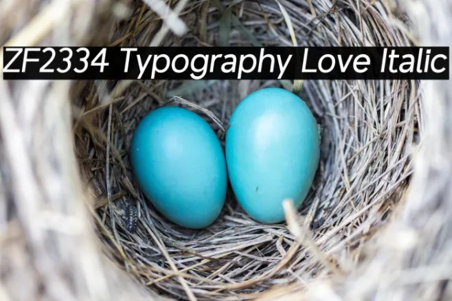 ZF2334 Typography Love Italic Example 1