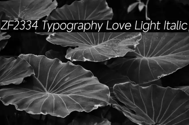 ZF2334 Typography Love Light Italic Caratteri examples