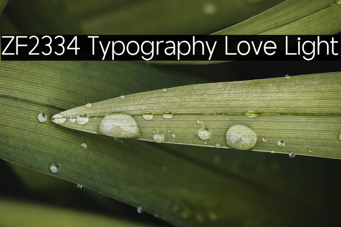 ZF2334 Typography Love Light Example 2