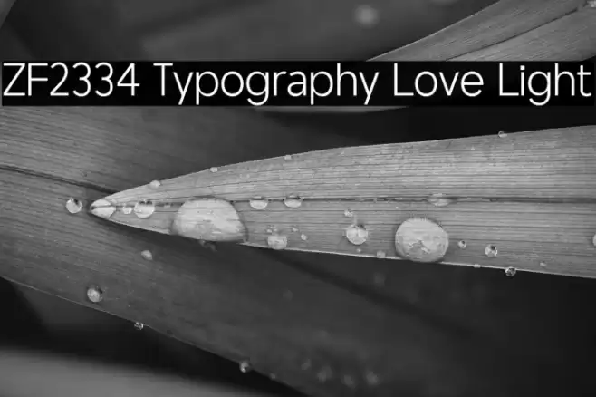 ZF2334 Typography Love Light Font examples