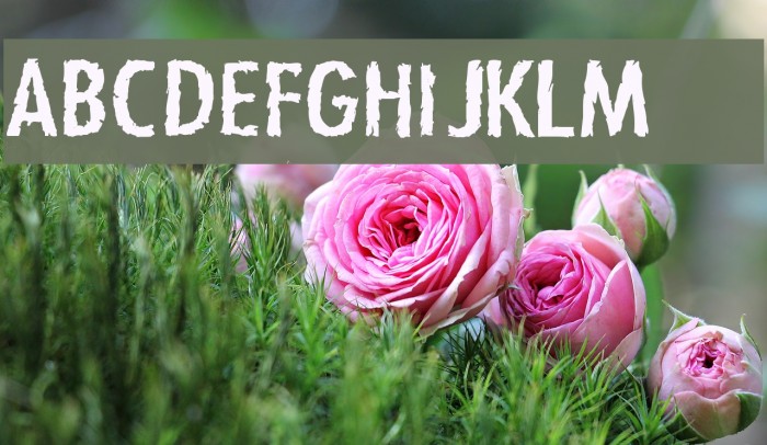 Zfonts Font examples