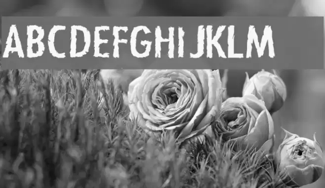 Zfonts Fuentes examples