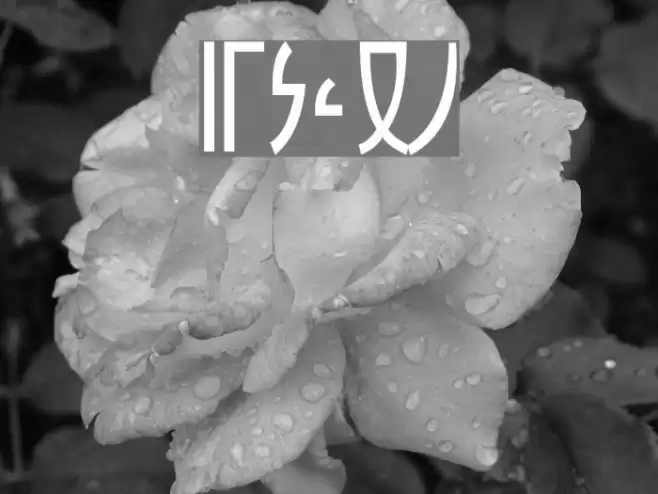 zfigar Font examples