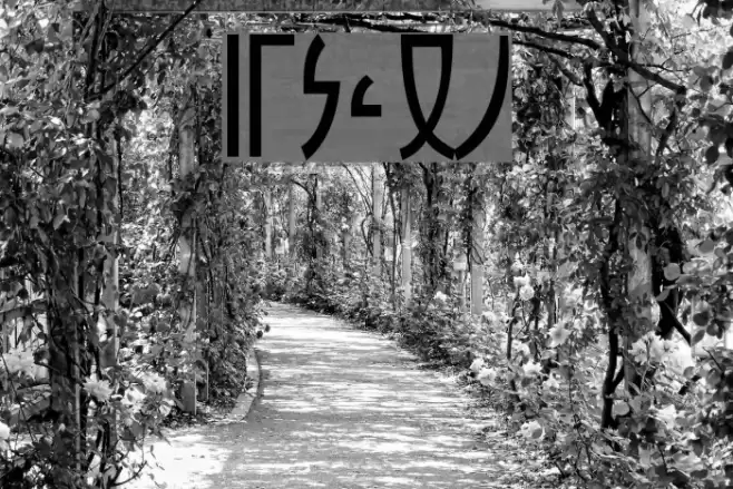 zfigar Font examples