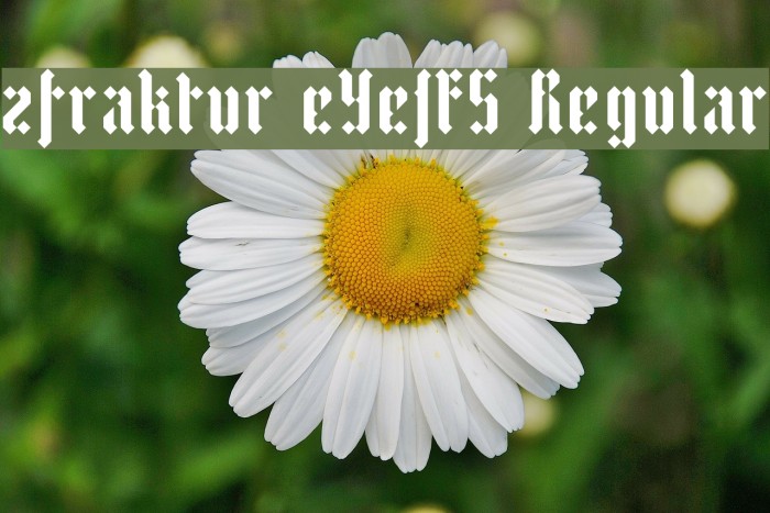 zfraktur eYe/FS Regular Font examples